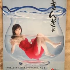 松井玲奈 きんぎょのサムネイル