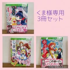 小公女セーラ他　3100年後も読まれる名作冊セットのサムネイル