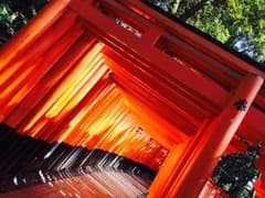 たま様専用のサムネイル