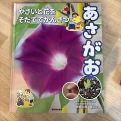 やさいと花をそだててかんさつ あさがおのサムネイル
