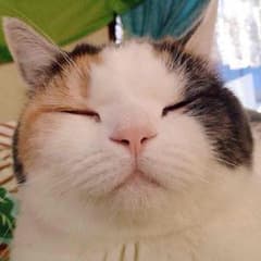 max♡様専用のサムネイル