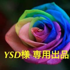 te ライブDVD 二枚セットのサムネイル