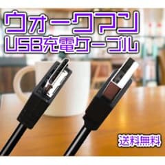 ウォークマン充電器 SONY ソニー ウォークマン 充電器 互換品