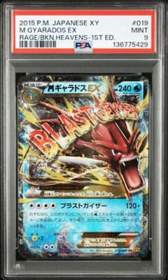 MギャラドスEX RR XY9 破天の怒り 019/080PSA9 - メルカリ