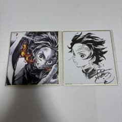 Demon Slayer: Kimetsu no Yaiba Tanjiro Shikishi (Illustration Board) - Set of 2