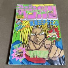 増刊 フレッシュ少年ガンガン 1993年 春季臨時増刊号 - メルカリ