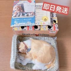 m30736239809_1.jpg?1763542167