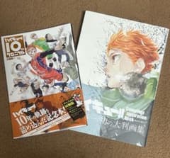 ハイキュー!! 10周年記念本とイラスト集セット ハイキュー!! 10周年記念本とイラスト集セット - メルカリ