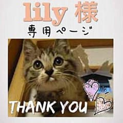 lily様【専用ページ】のサムネイル