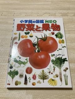 小学館の図鑑NEO 野菜と果物のサムネイル