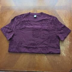 未着用】ベルルッティ BERLUTI カリグラフィー 刺繍 Tシャツ S - メルカリ