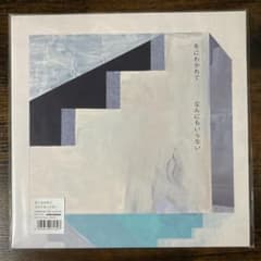 LP 冬にわかれて【なんにもいらない】完全限定生産 レコード 寺尾紗穂