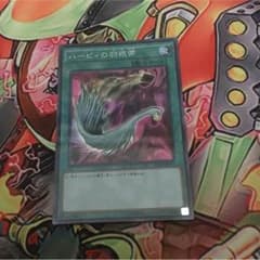 ハーピィーの羽根箒のサムネイル