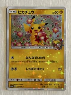 ピカチュウ 224/SM-P　みんなでいわう ピカチュウ【P】{224/SM-P}