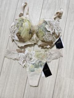 サルートF65 ブラショーツセット サルート 90シリーズ ブラジャーショーツセット 店舗限定 F65 Mサイズ