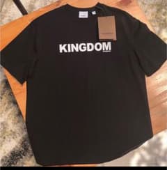 Burberry バーバリー Tシャツ 美品 クリーニング済みのサムネイル