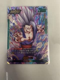 フュージョンワールド 孫悟飯：SH FB09-049 リーダーパラレル ②