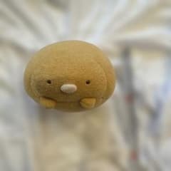 すみっコぐらし ぬいぐるみのサムネイル