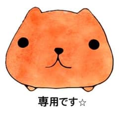 【aririn様専用】ぽかぽか家族ほんわか低温タイプ100枚セット⭐︎のサムネイル