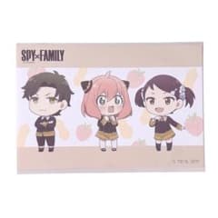 신품 SPY × FAMILY 스파이 패밀리 로손 콜라보 엽서