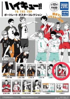 もうすぐ引っ越し様専用ハイキューポスターのサムネイル