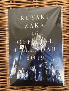 欅坂46 オフィシャルカレンダー　ポストカードのサムネイル