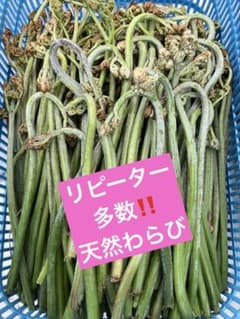 岩手県産‼️天然わらびネコポスいっぱいのサムネイル