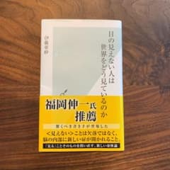 目の見えない人は世界をどう見ているのかのサムネイル
