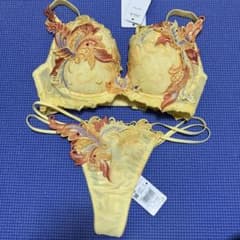 ワコール サルート 92G プレステージ 火の鳥 F65 ソングM - メルカリ