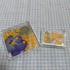 押し花　マグネット　2種セットのサムネイル