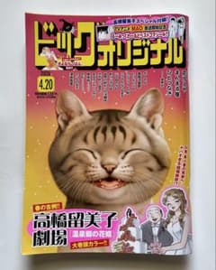 ビッグコミックオリジナル 2026年4月20日号 第8号のサムネイル