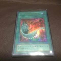 ブルドラさん専用遊戯王のサムネイル