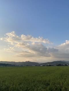 残りわずか令和7年産新米　岡山県苫田郡産　減農薬栽培にじのきらめき　玄米30kgのサムネイル