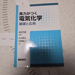 実力がつく電気化学 基礎と応用のサムネイル