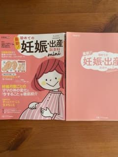 初めての妊娠・出産 新百科 miniのサムネイル