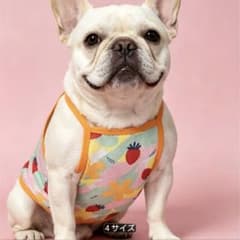 犬服 メッシュ タンク ストロベリー柄のサムネイル