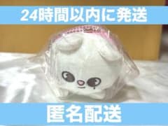 【新品未開封】Stray Kids ジニレット ヒョンジン 日本限定 straykids skzoo スキズ バッグチャーム ヒョンジン ジニレット - メルカリ