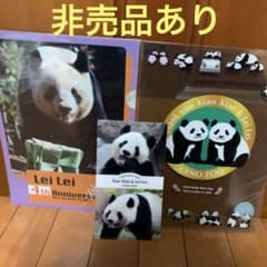上野動物園パンダ シャオシャオレイレイ4周年クリアファイル 非売品