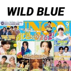 JUNON 9月号 WILD BLUE 切り抜き - メルカリ