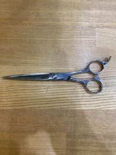 光　シザー　スターコスモスのサムネイル