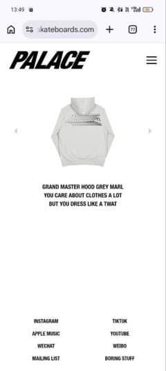 PALACE GRAND MASTER HOOD 2018 Summer - メルカリ