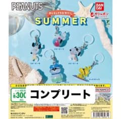 PEANUTS めじるしアクセサリー SUMMER コンプリートセットのサムネイル