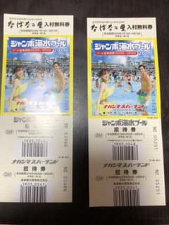 ナガシマスパーランド 入場券 ナガシマジャンボ海水プールのサムネイル