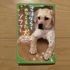 さよならをのりこえた犬 ソフィー 盲導犬になった子犬の物語のサムネイル