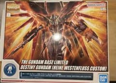 MG 1/100 ガンダムベース限定 デスティニーガンダム(ハイネ専用機)のサムネイル