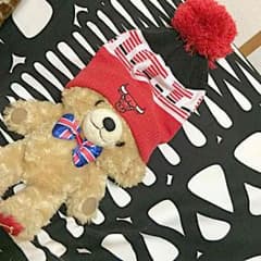 少々値引き✳Chicago Bullsニット帽のサムネイル