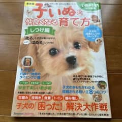最新版 子いぬと仲良くなる育て方 しつけ編のサムネイル