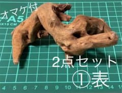 マングローブ系 流木 2点セットのサムネイル