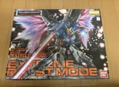 MG 1/100デスティニーガンダム エクストリームブラストモード(欠品あり