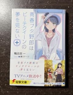 青春ブタ野郎はビーチクイーンの夢を見ない＋ 鴨志田一 電撃文庫のサムネイル